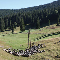 Mount Vlašić and Travnik