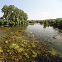 Sana River - Middle Course